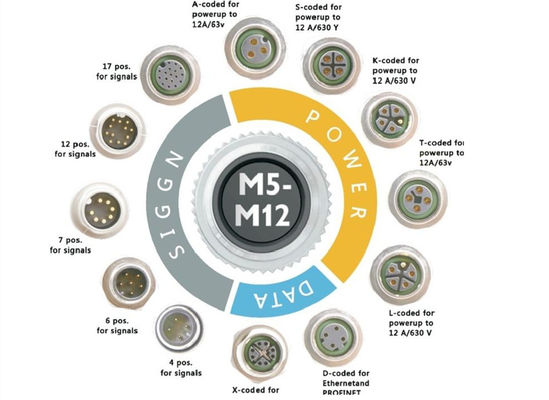 سلسلة M12 رابط الأسلاك الدائرية المقبس 12 دبوس لوحة المسمار الخلفية